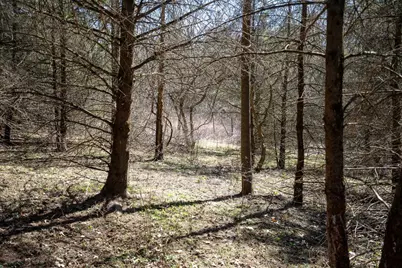 +/-80Ac Knobs Road, Arena, WI 53588 - Photo 20