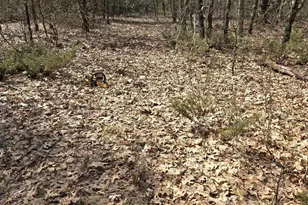 N8604 17th Ave, Neshkoro, WI 54960 - Photo 52