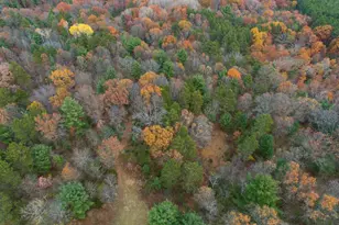 N8604 17th Ave, Neshkoro, WI 54960 - Photo 64