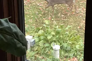 2934 County Rd W, Deerfield, WI 53531 - Photo 70