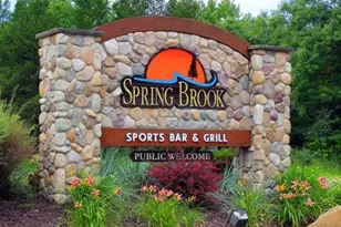 103 Lake Shore Dr, Lake Delton, WI 53965 - Photo 2