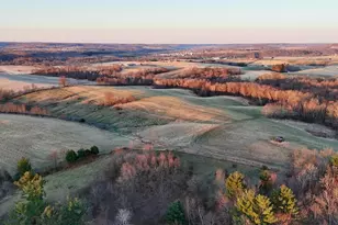 N1503 Raese Rd, Wonewoc, WI 53968 - Photo 10