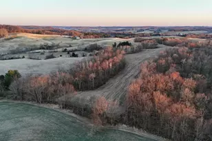 N1503 Raese Rd, Wonewoc, WI 53968 - Photo 4