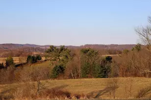 N1503 Raese Rd, Wonewoc, WI 53968 - Photo 66