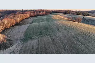 N1503 Raese Road, Wonewoc, WI 53968 - Photo 16