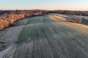 N1503 Raese Rd, Wonewoc, WI 53968 - Photo 16