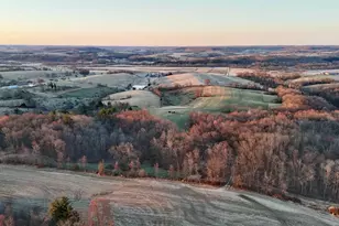 N1503 Raese Rd, Wonewoc, WI 53968 - Photo 8