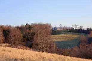 N1503 Raese Rd, Wonewoc, WI 53968 - Photo 58