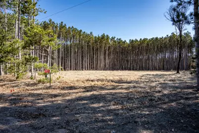 N9990 Pine Cone Court, Necedah, WI 54646 - Photo 4