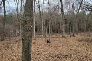 12549 County Hwy N, Tomah, WI 54660 - Photo 40