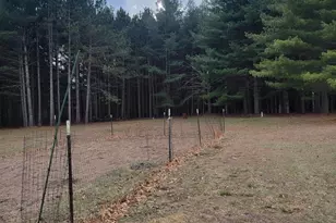 12549 County Hwy N, Tomah, WI 54660 - Photo 32