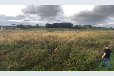 Lots 8 &amp; 9 English Settlement Road, Albany, WI 53502 - Photo 6