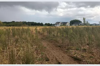 Lots 8 &amp; 9 English Settlement Road, Albany, WI 53502 - Photo 8