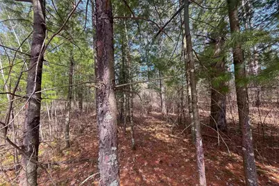 Lot 1 Csm 2651 Eagle Avenue, Westfield, WI 53964 - Photo 4