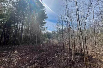 Lot 1 Csm 2651 Eagle Avenue, Westfield, WI 53964 - Photo 14