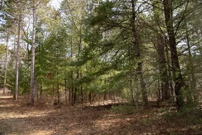 Lot 1 Csm 2651 Eagle Avenue, Westfield, WI 53964 - Photo 12