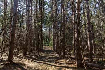 W8179 Eagle Drive Drive, Oxford, WI 53964 - Photo 52