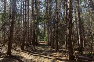 W8179 Eagle Dr Dr, Oxford, WI 53964 - Photo 52