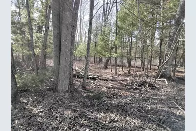 W1080 Dover Road, Neshkoro, WI 54960 - Photo 2