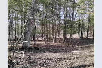 W1080 Dover Road, Neshkoro, WI 54960 - Photo 1