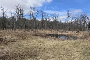 1269 17th Ave, Arkdale, WI 54613 - Photo 8