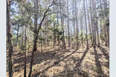 1360 10th Avenue, Friendship, WI 53934 - Photo 36