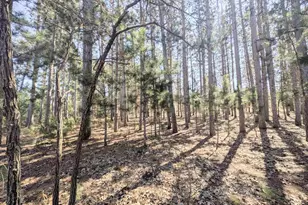 1360 10th Ave, Friendship, WI 53934 - Photo 36