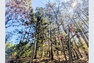 1360 10th Avenue, Friendship, WI 53934 - Photo 34