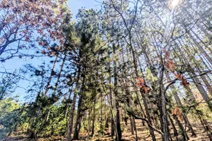 1360 10th Ave, Friendship, WI 53934 - Photo 34