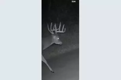 W7181 Duck Creek Avenue, Westfield, WI 53964 - Photo 88