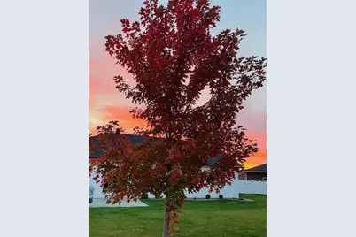 1230 Crockett Drive, Holmen, WI 54636 - Photo 74