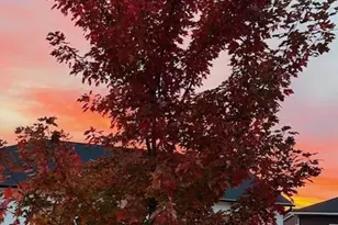 1230 Crockett Dr, Holmen, WI 54636 - Photo 74