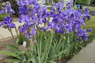 440 Grandview Dr, Waunakee, WI 53597 - Photo 66