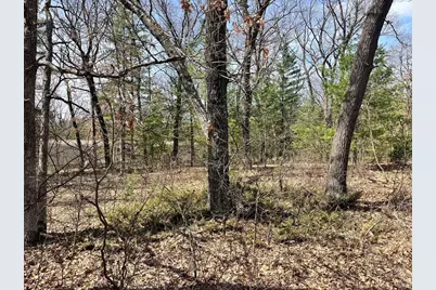 L 87 &amp; 102 13th Drive, Friendship, WI 53934 - Photo 6