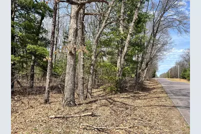 L 87 &amp; 102 13th Drive, Friendship, WI 53934 - Photo 10