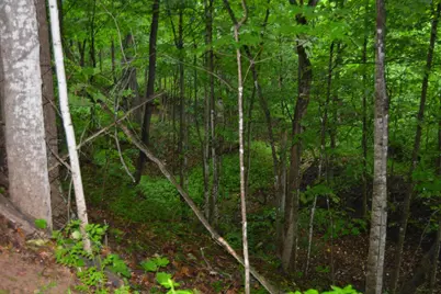 19767 County Hwy A, Richland Center, WI 53581 - Photo 74