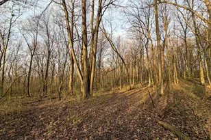 E5390 Parker Dr, Viroqua, WI 54665 - Photo 58