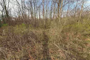 E5390 Parker Dr, Viroqua, WI 54665 - Photo 76