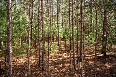 W6091 Lake Drive, New Lisbon, WI 53950 - Photo 8