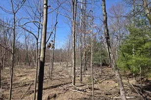1985 14th Dr, Friendship, WI 53934 - Photo 20