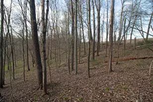 S8642 County Rd N, Plain, WI 53577 - Photo 30