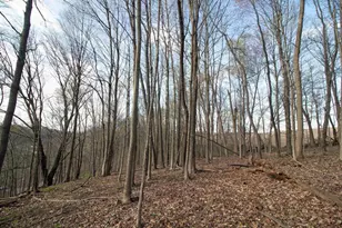 S8642 County Rd N, Plain, WI 53577 - Photo 28