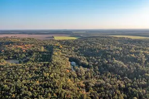 875 Fawn Ln, Grand Marsh, WI 53936 - Photo 68