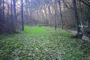 23958 Brown Ridge Rd, Scott, WI 53805 - Photo 70