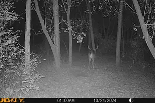 W12497 Hwy 188, Lodi, WI 53555 - Photo 50