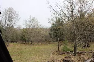 2590 14th Ct, Adams, WI 53910 - Photo 56