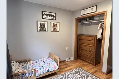 203 Main Street, Ridgeway, WI 53582 - Photo 28