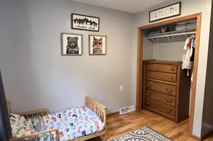 203 Main St, Ridgeway, WI 53582 - Photo 28