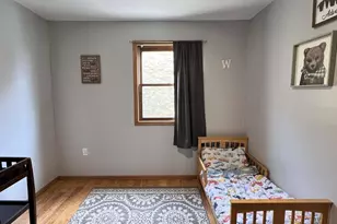 203 Main St, Ridgeway, WI 53582 - Photo 30