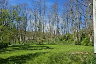 22710 Hwy 80, Richland Center, WI 53581 - Photo 20